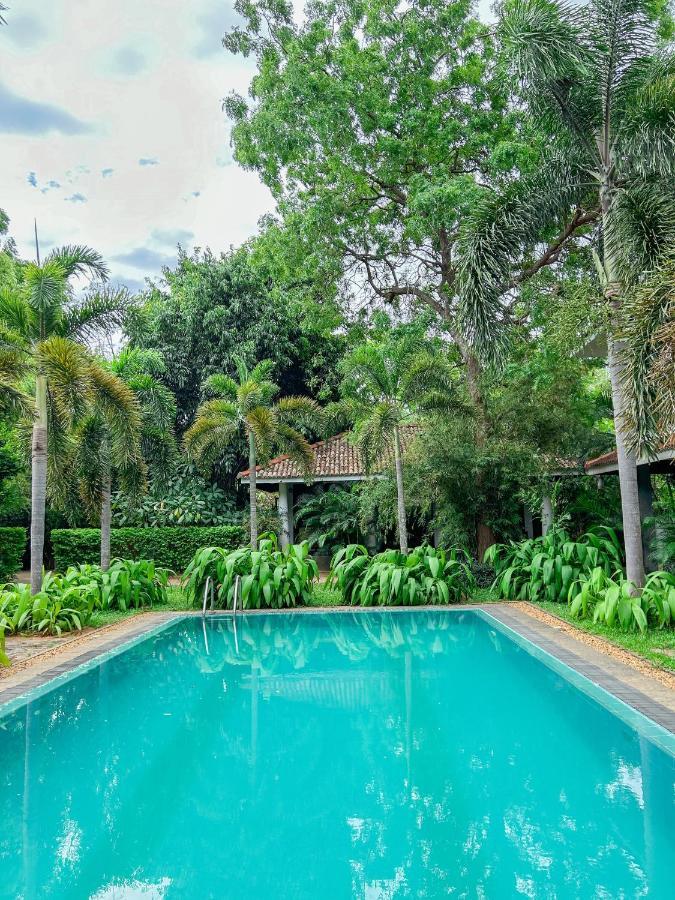 Hotel Wild Heaven Tissamaharama Esterno foto