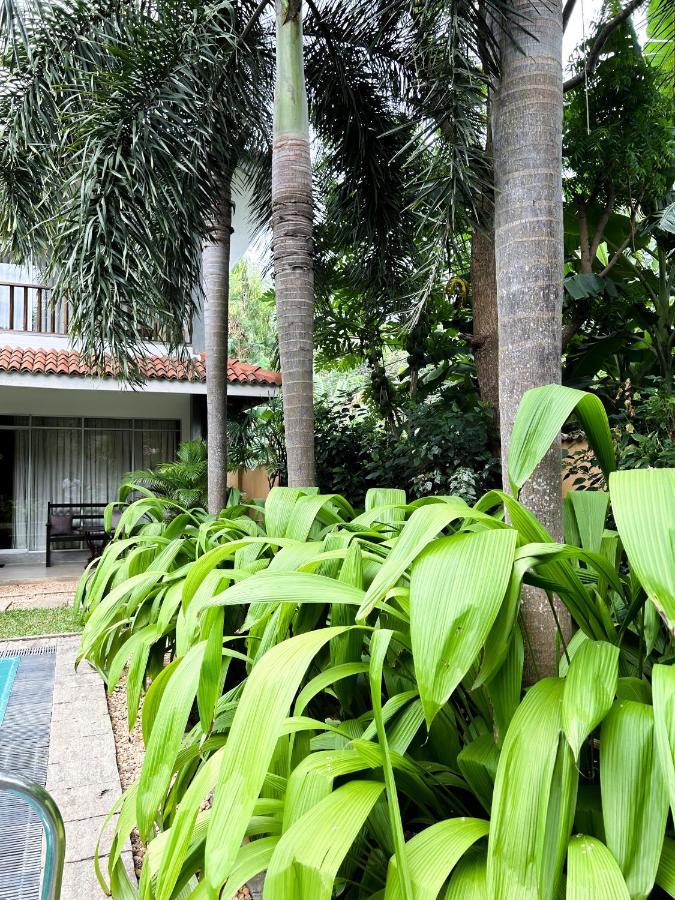 Hotel Wild Heaven Tissamaharama Esterno foto