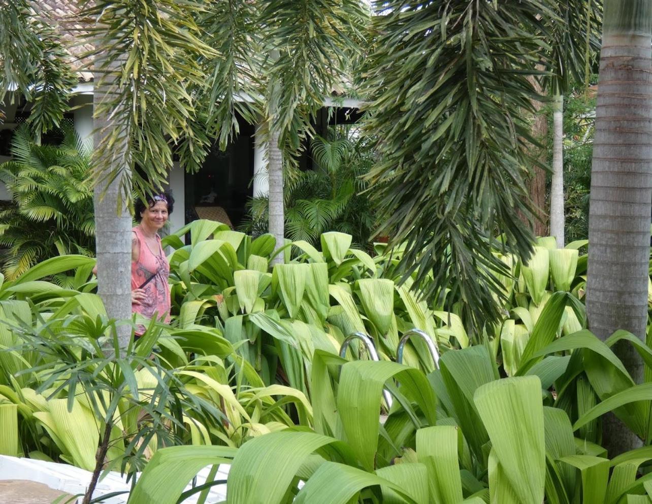 Hotel Wild Heaven Tissamaharama Esterno foto