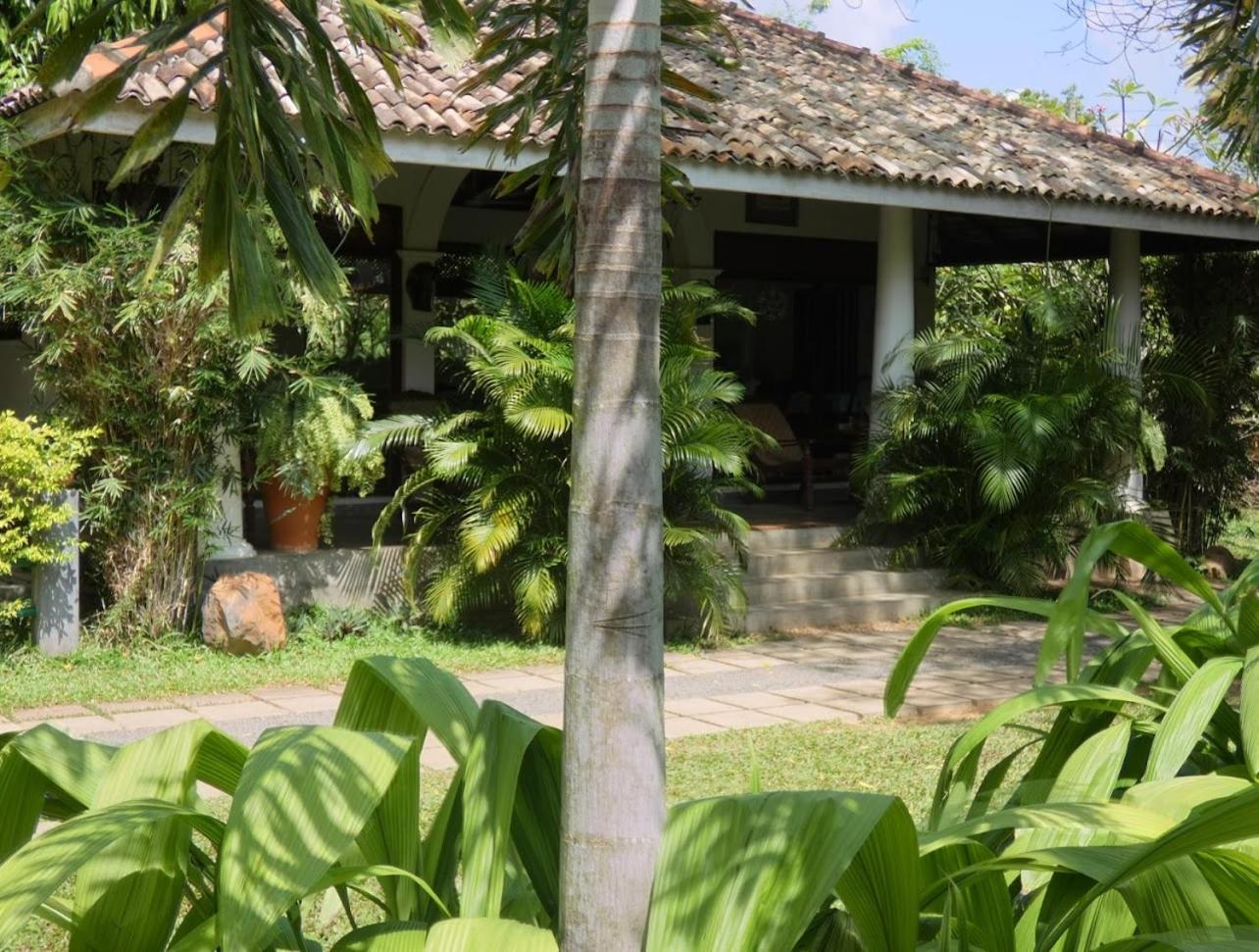 Hotel Wild Heaven Tissamaharama Esterno foto