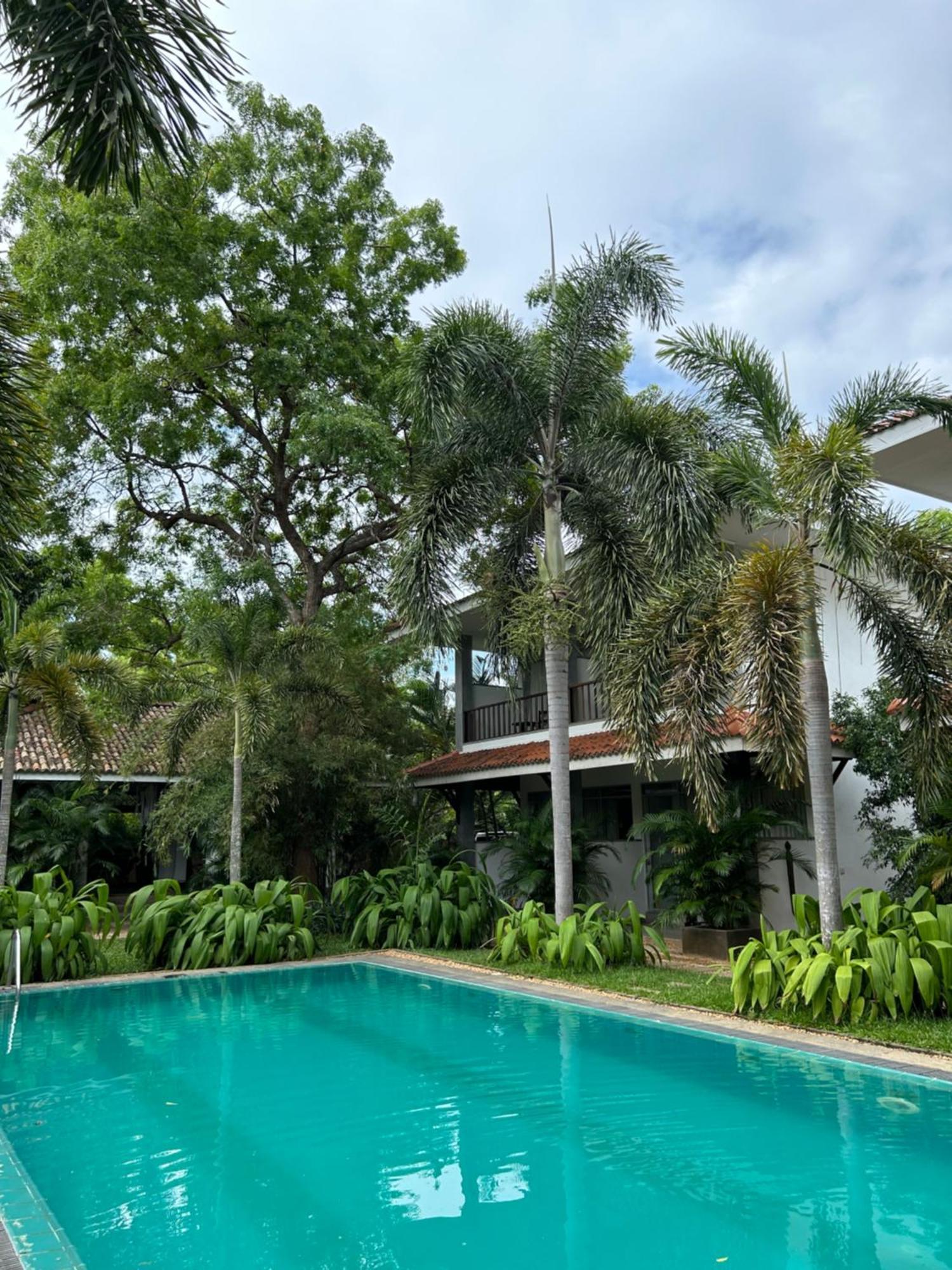 Hotel Wild Heaven Tissamaharama Esterno foto