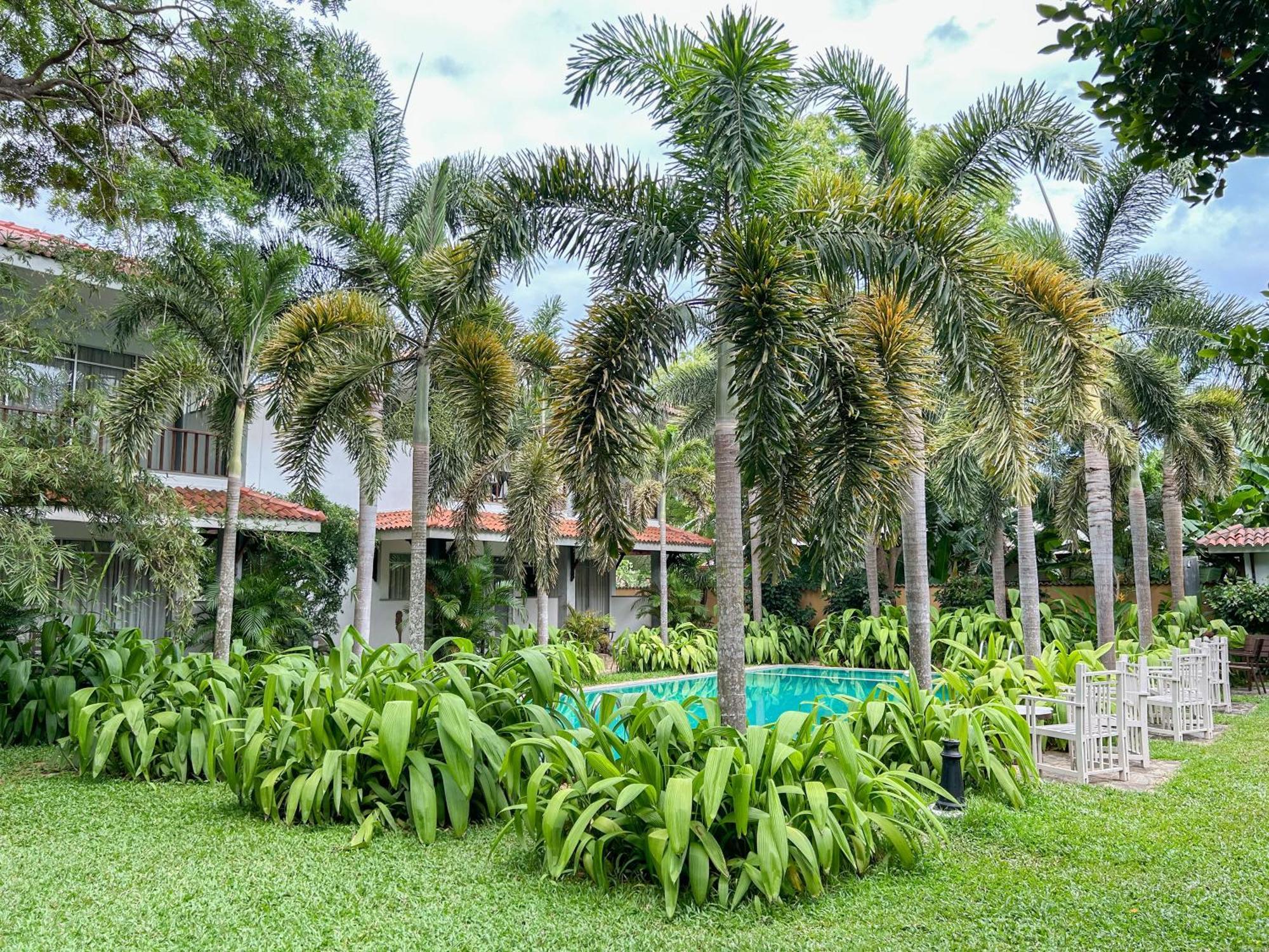 Hotel Wild Heaven Tissamaharama Esterno foto