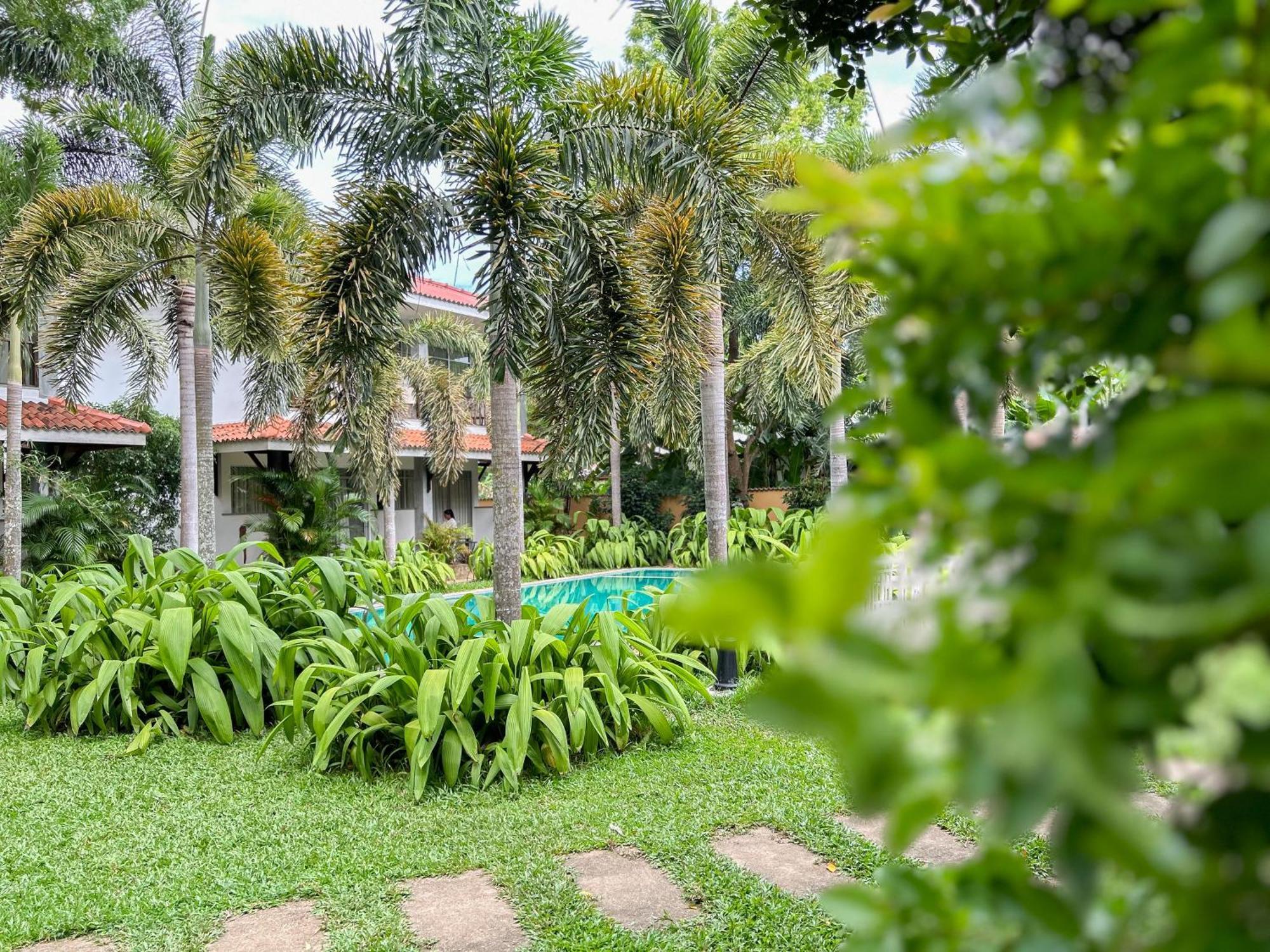 Hotel Wild Heaven Tissamaharama Esterno foto