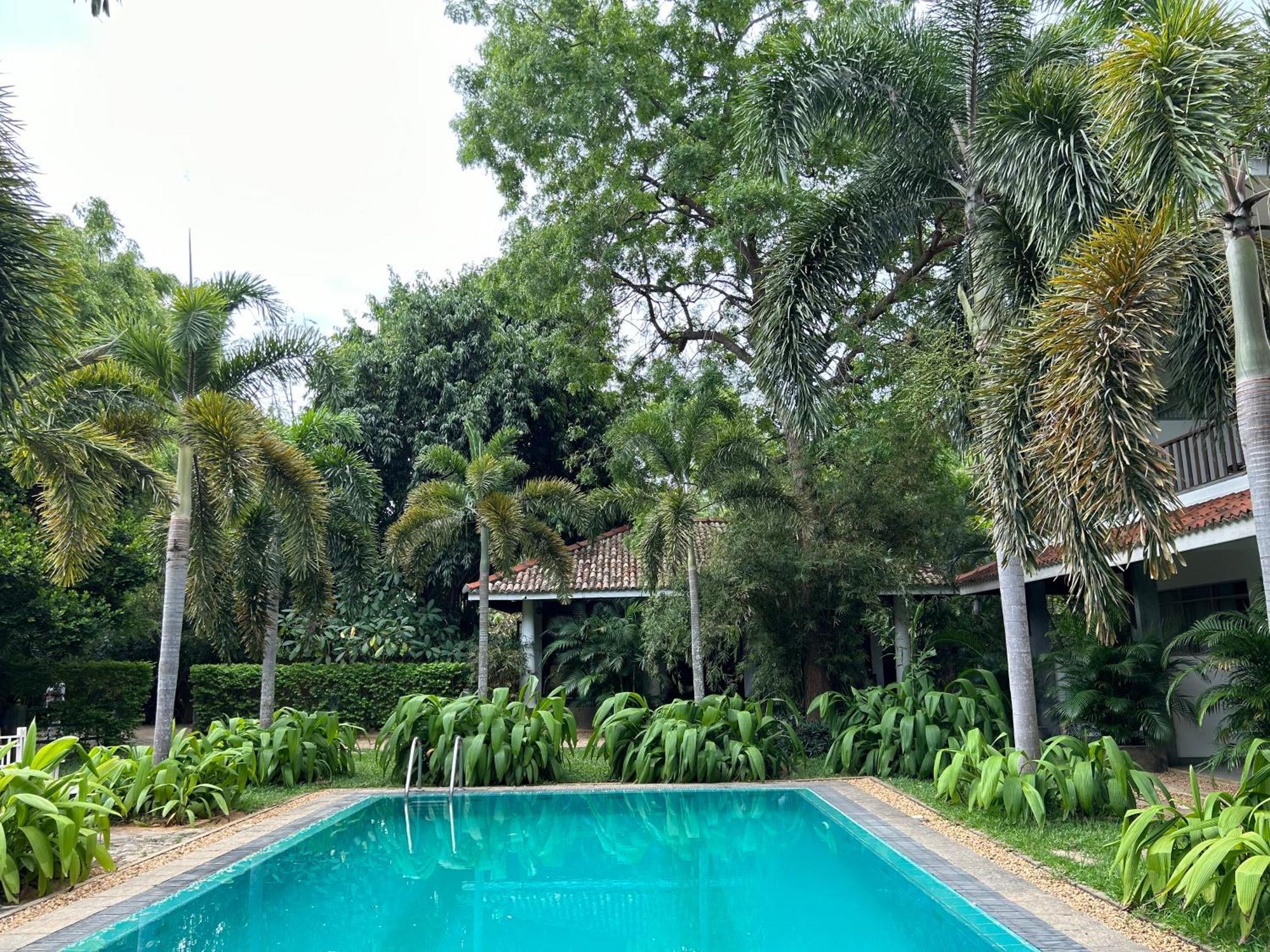 Hotel Wild Heaven Tissamaharama Esterno foto
